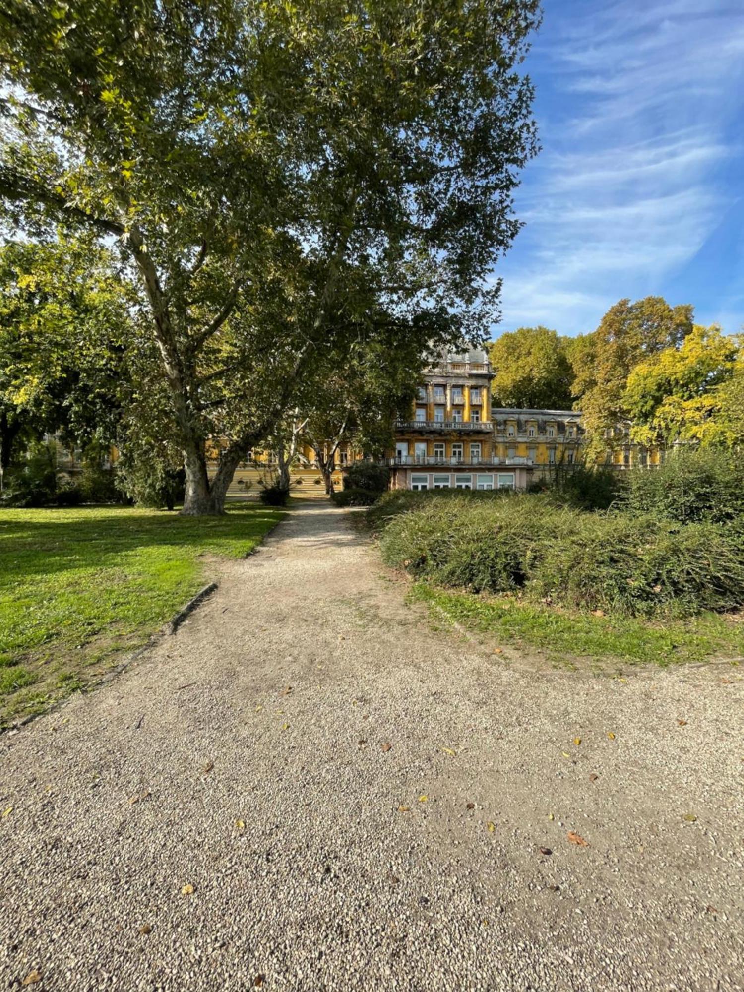 Margaret Apartment Next To The Lukacs Spa With Panorama Danube Budapest Eksteriør billede